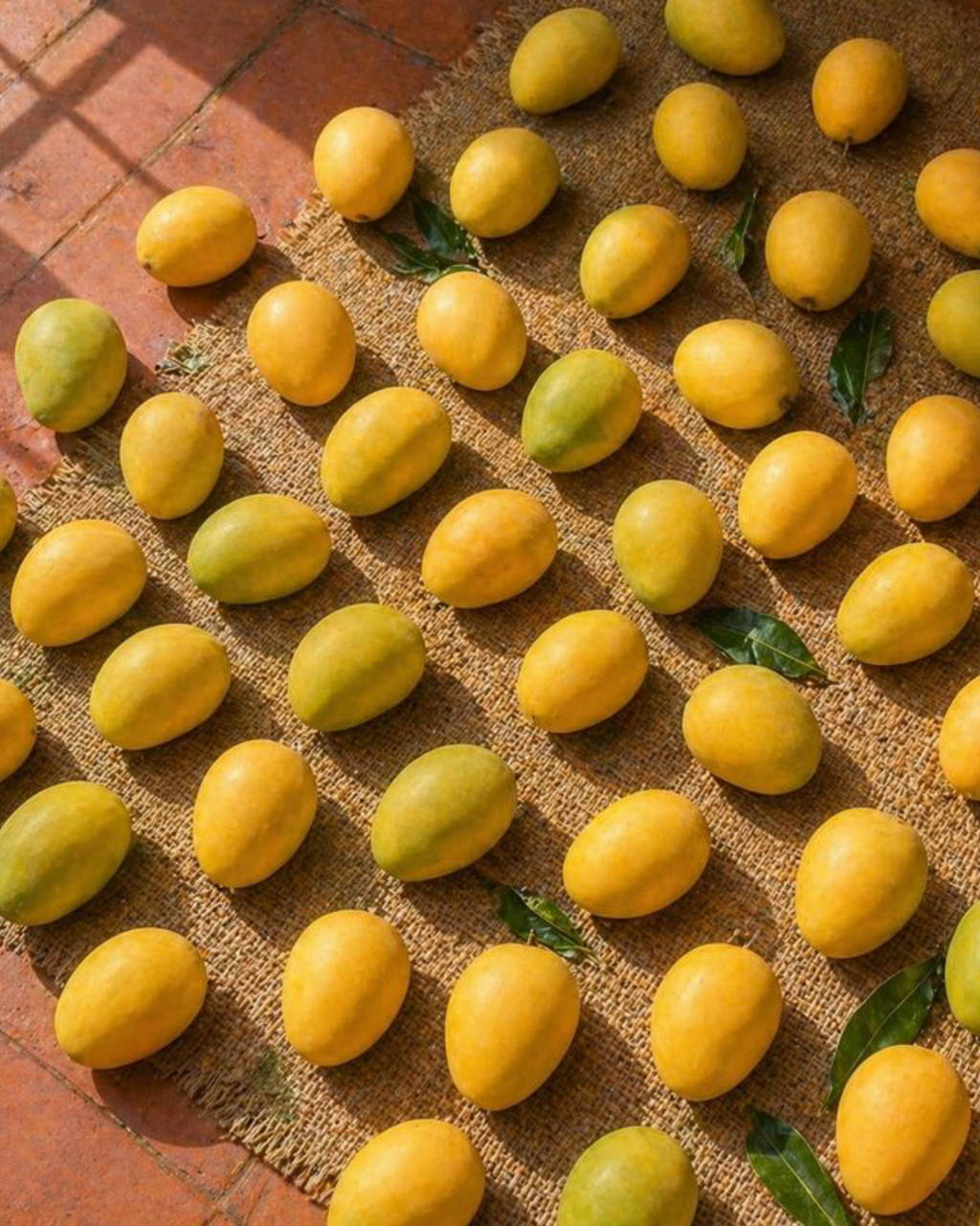 Kesar Mango Box